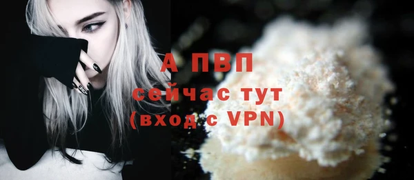 сатива Баксан