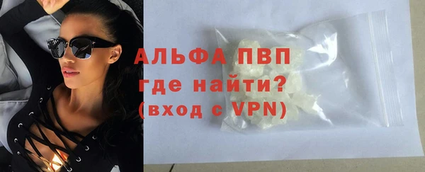сатива Баксан