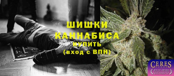 сатива Баксан