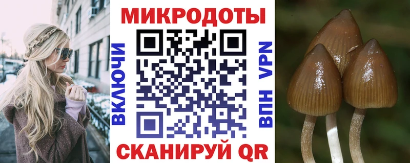 Псилоцибиновые грибы прущие грибы  Купить закладки  Воткинск 